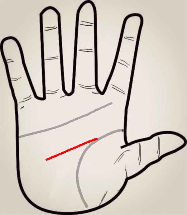 손재주가 뛰어난 손금