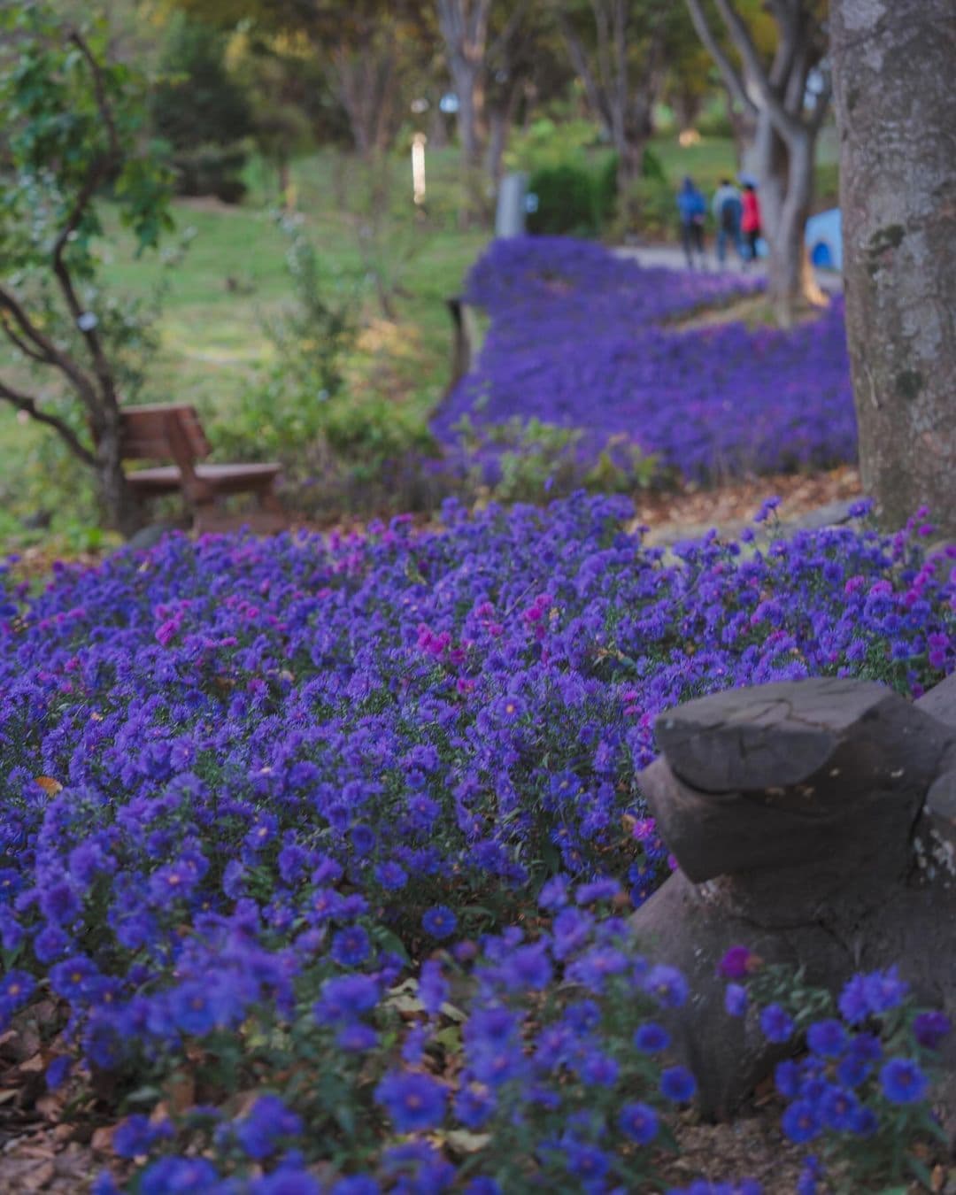 [충남 논산]사계절 내내 머물고 싶은 곳, 피나클랜드 수목원 이야기