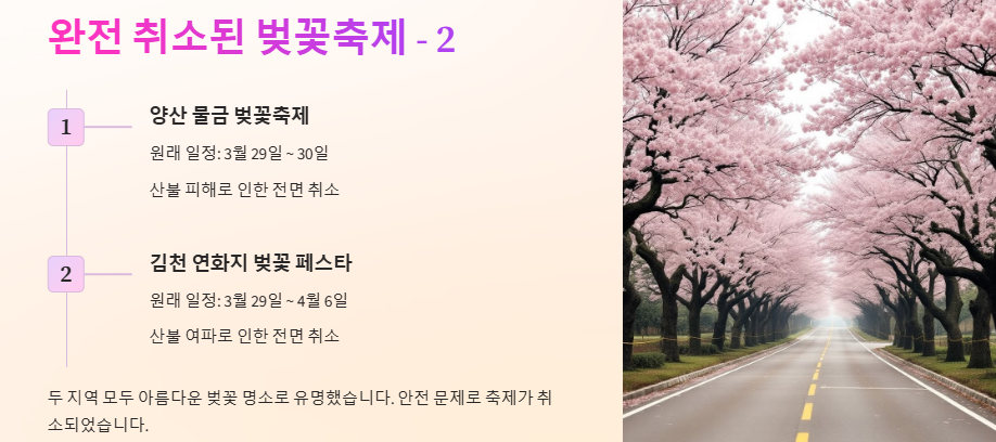 벚꽃축제 취소, 축소, 연기