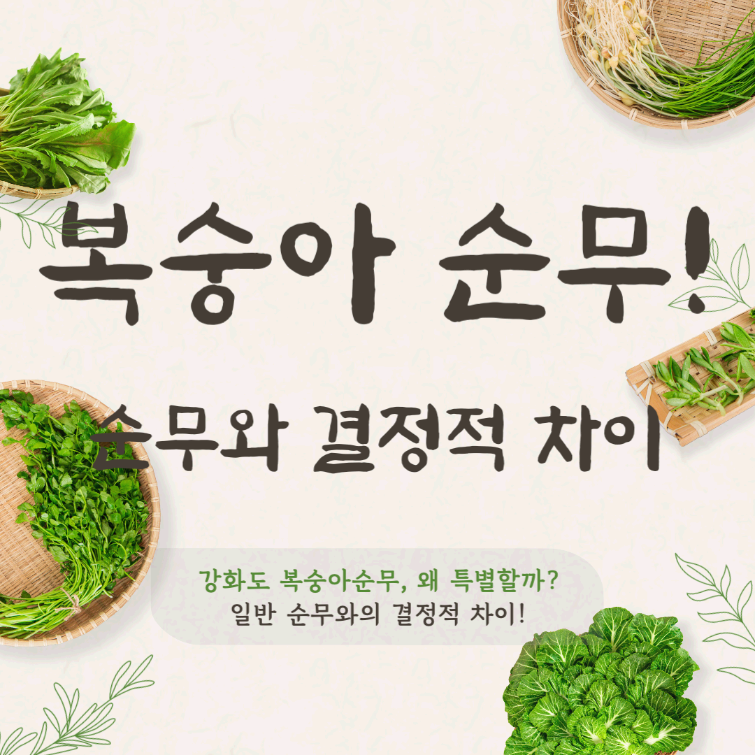 강화도 복숭아순무, 왜 특별할까? 일반 순무와의 결정적 차이!