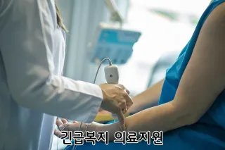 긴급복지 의료지원
