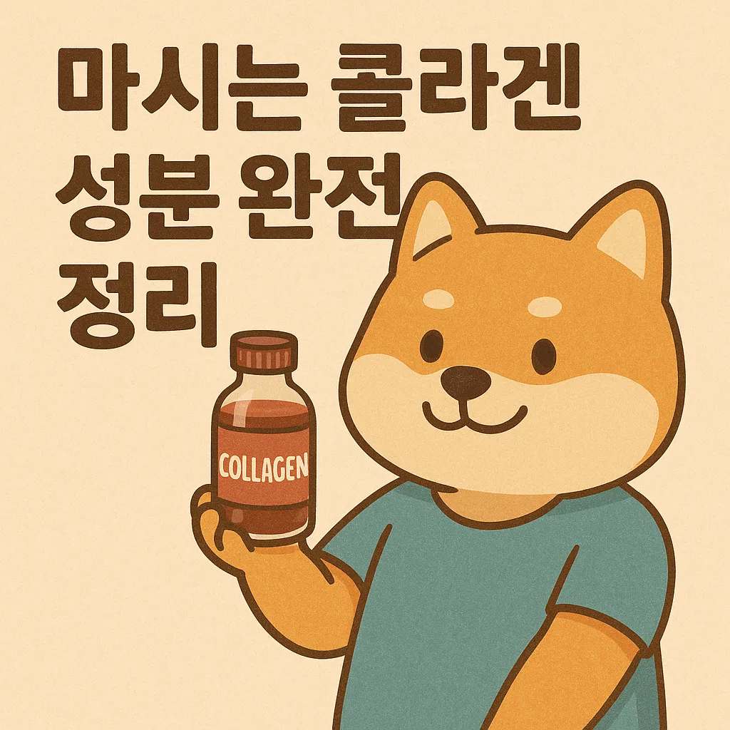마시는콜라겐 성분 정리: 피쉬콜라겐부터 첨가물까지 꼼꼼 비교
