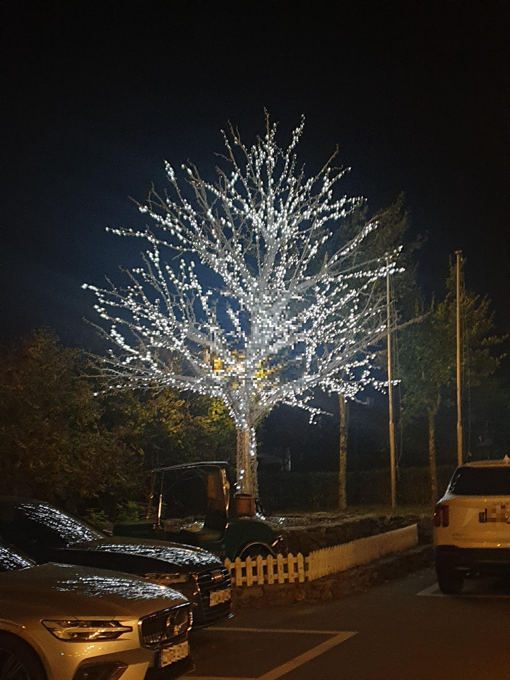 캄캄한 밤 빛나는 나무 조명. 크리스마스가 온 것 같다.