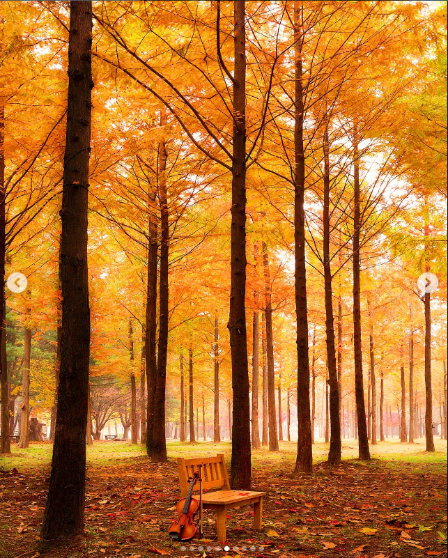 화담숲 - 예약 방법&amp;#44; 예약가능 시간대&amp;#44; 환불 방법