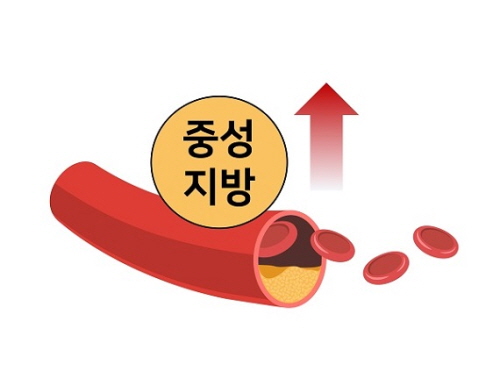 중성지방