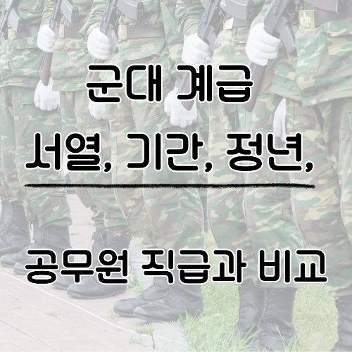 대한민국 군대, 계급 체계, 공무원 직급, 복무 기간, 정년, 비교 분석