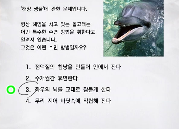 해양 생물 8 이미지