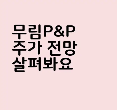 무림P&P