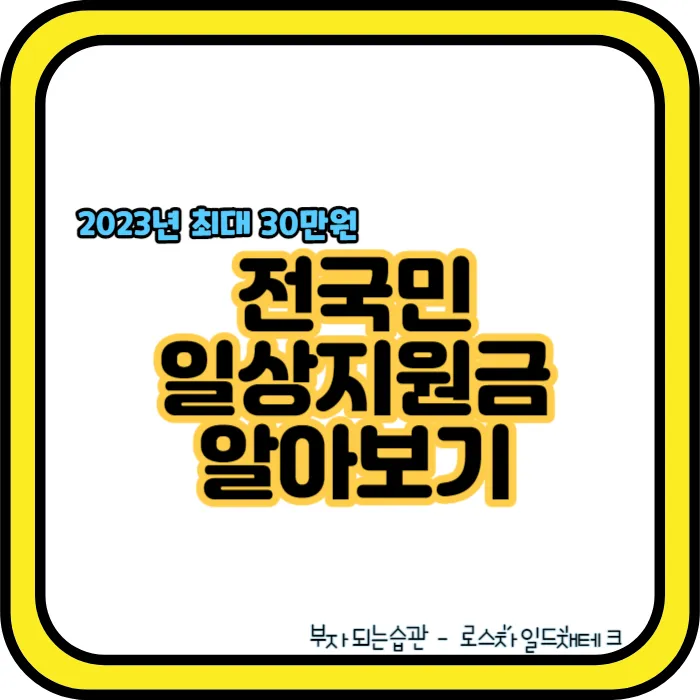 전국민일상지원금