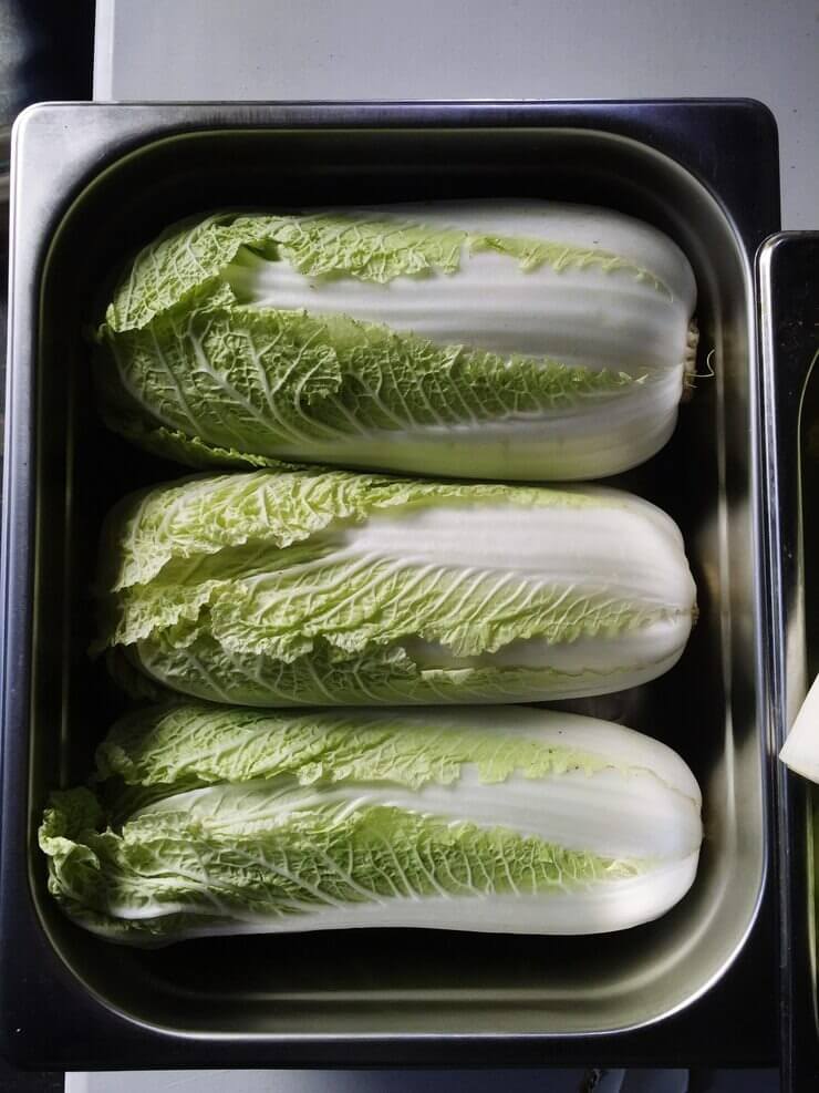 딤채 김치냉장고 불 깜빡이는 이유