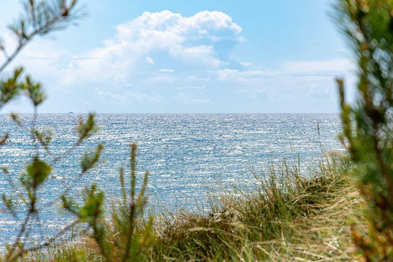 비타민 D, 간질환 진행 억제에 효과