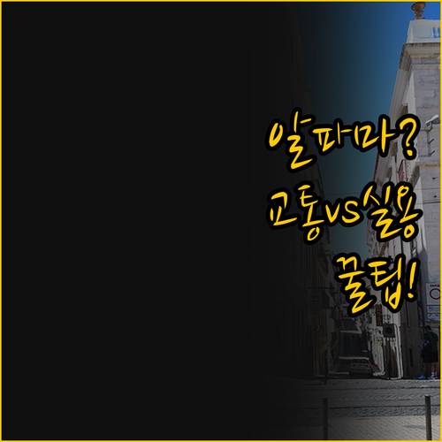 교통 접근성 대 실용성 리스본 알파마..