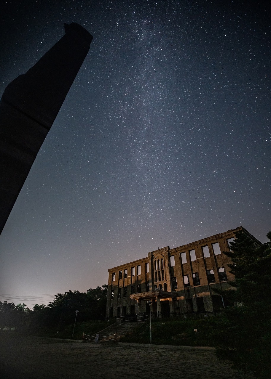 강원도 vs 제주도 겨울여행 비교