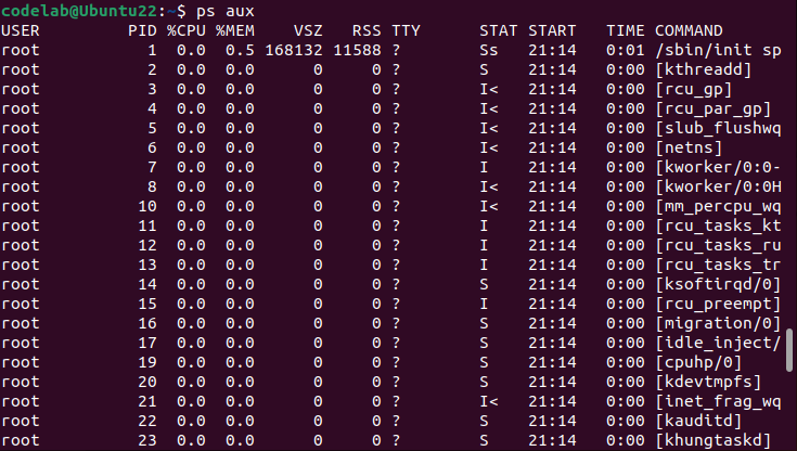 ps aux