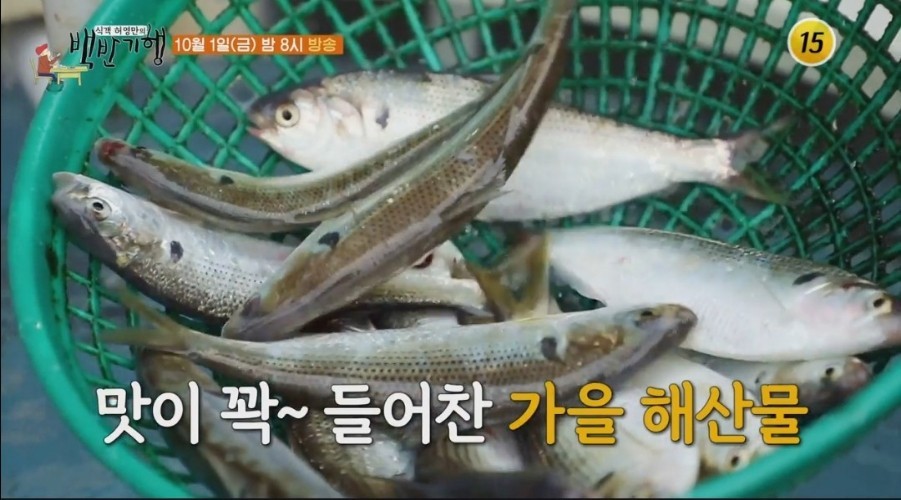 전남 장흥 이피디가 간다 된장 물회, 전어구이, 전어회무침, 전어회 제철 고소한 전어 밥상 맛집 추천