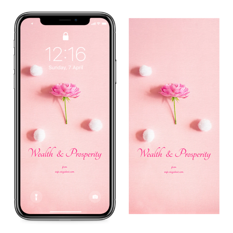 06 모란꽃 한송이 C - Wealth and Prosperity 복들어오는배경화면