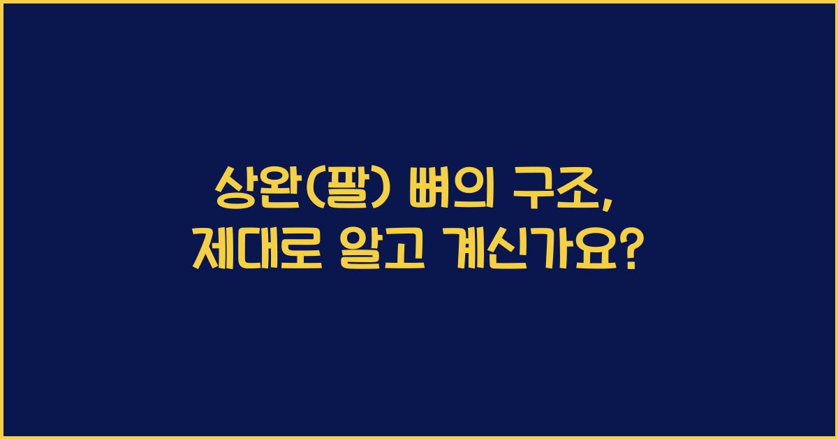 상완(팔) 뼈의 구조