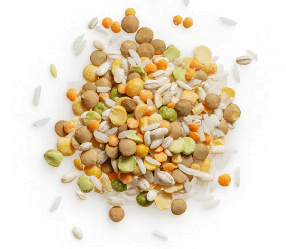 '저속노화 식단' 핵심 원칙 5가지