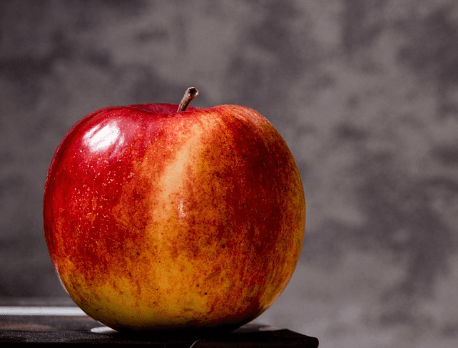 장에 좋은 음식 추천과 먹는 법 총정리