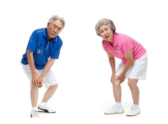 이모튼 캡슐 효능