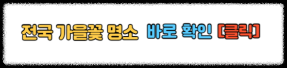 10월 국내 여행지 추천 2024 단풍 국내 여행지 추천 가을꽃 명소