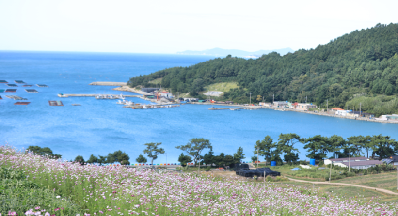 완도 청산도