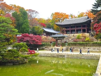 창덕궁 후원 예약 홈페이지 기간_24