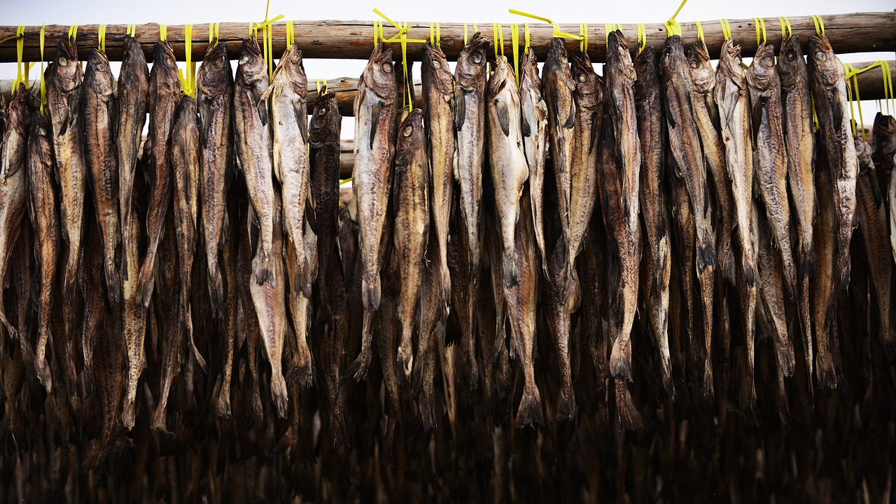 황태의 효능과 단백질 함량 사진