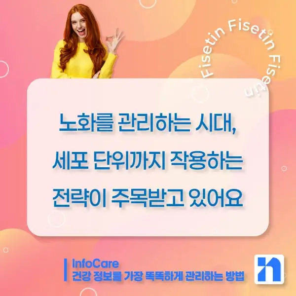 피세틴 효능 복용법