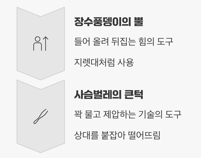 들어 올리는 뿔 vs 집어 던지는 큰턱