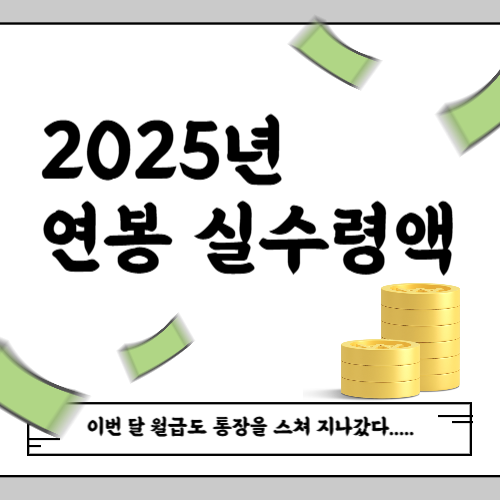 2025년 연봉 실수령액
