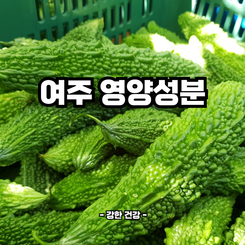 여주 영양성분