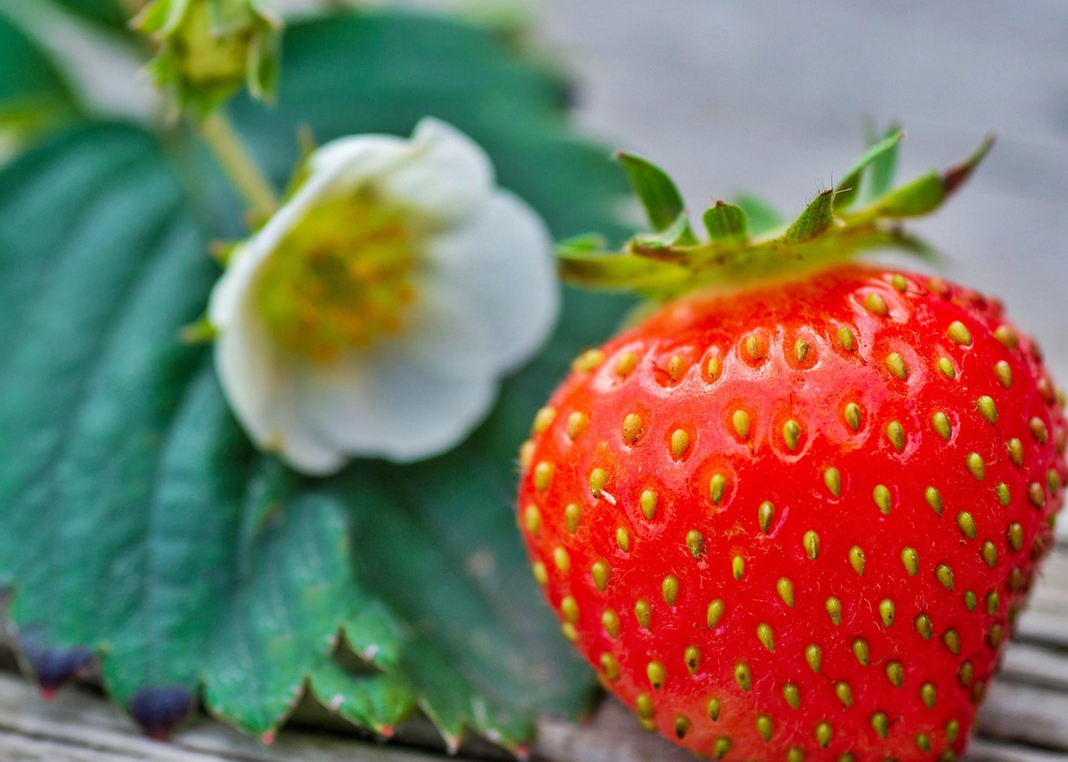 혈당 스파이크가 반복되면 몸에서 먼저 망가지는 5가지 신호
