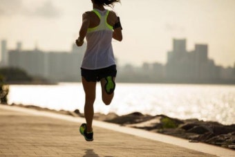 2025 인천마라톤 대회 안내 [+ 접수 시작일&amp;#44; 코스&amp;#44; 참가비 정보]