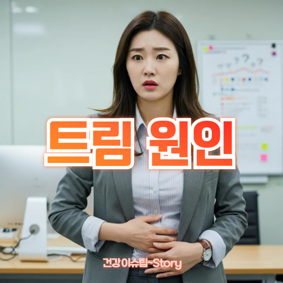 트림 원인