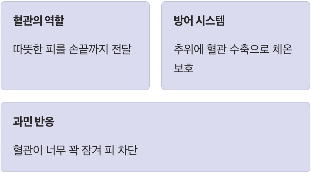 우리 몸의 작은 수도관, 혈관