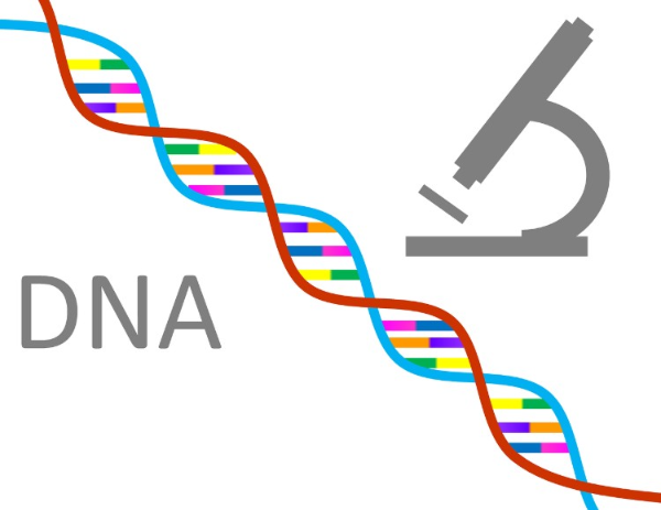 CRISPR 유전자 편집을 활용한 유전병 치료
