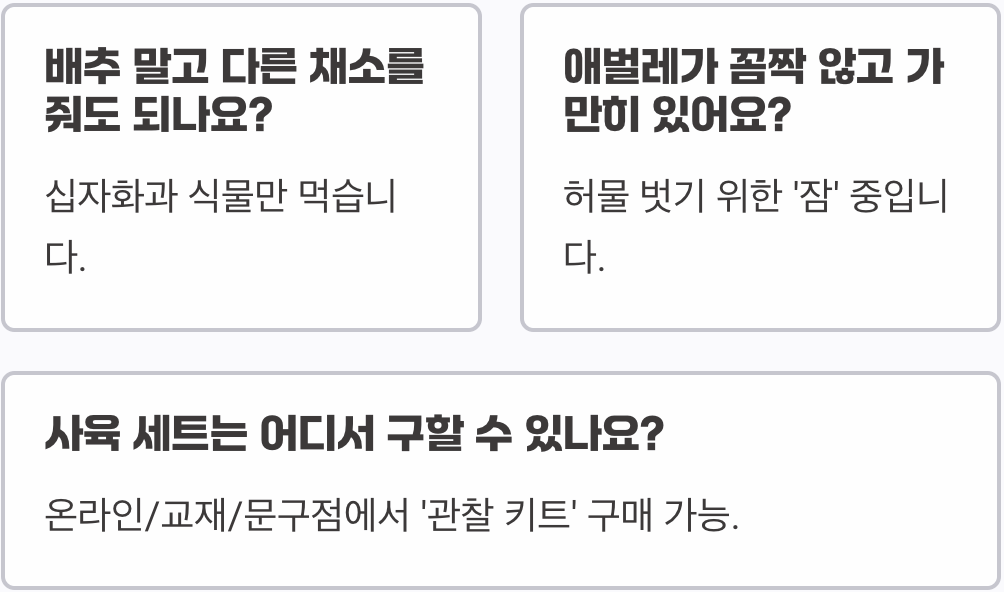 아이와 함께하는 자연관찰&amp;#44; 배추흰나비 키우기 A to Z (알부터 우화까지)