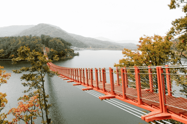 파주 마장호수 출렁다리 사진
