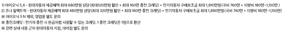 아이오닉5, 아이오닉6 할인