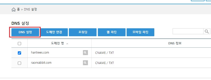 DNS설정 선택 화면