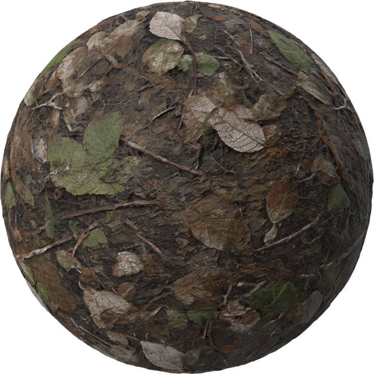 Natural Dirt Floor Seamless Texture with Leaves and Stones