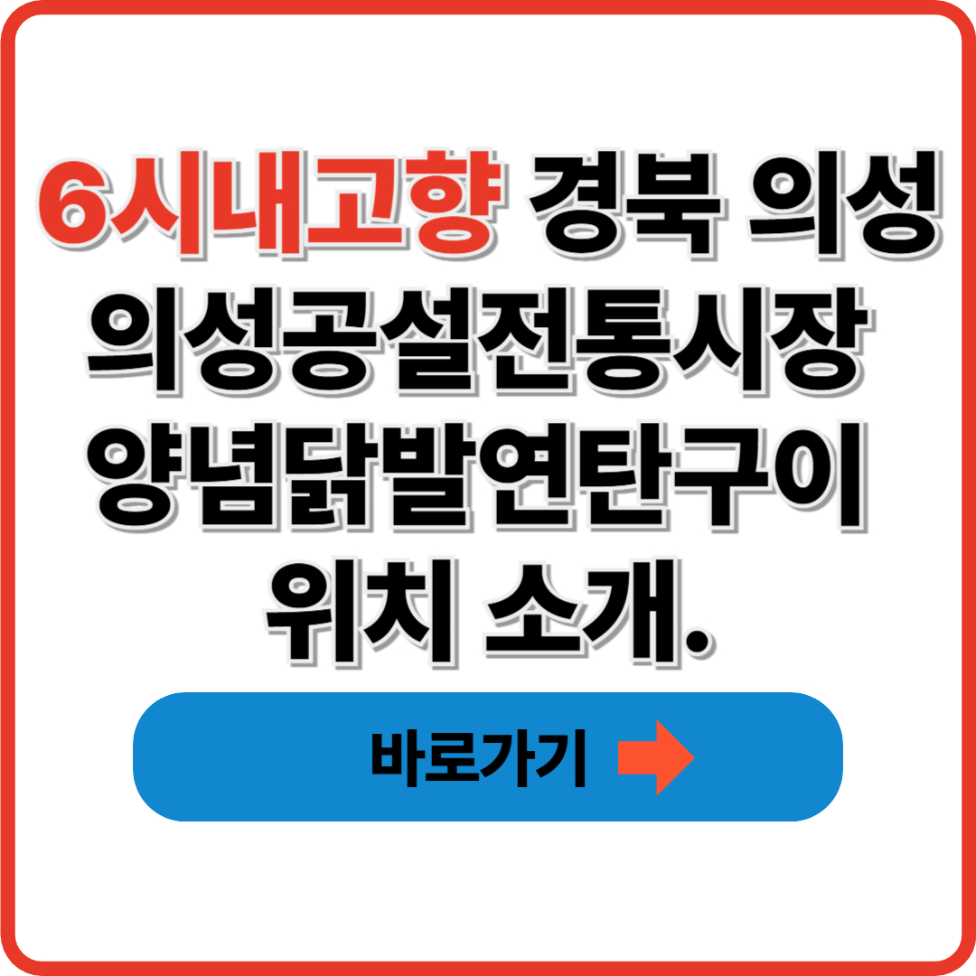 6시내고향 경북 의성 의성공설전통시장 양념닭발연탄구이 위치 소개.