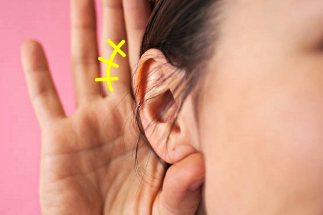 상위1프로 개인기 귀 쫑긋, 세상에 이런일이, 호기심 팁줌 매일꿀정보