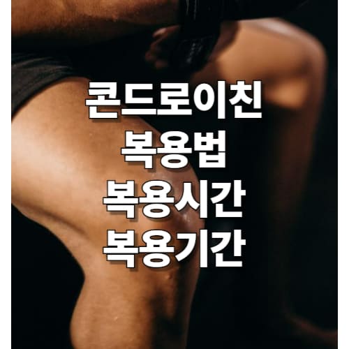 콘드로이친-복용법-복용시간-복용기간