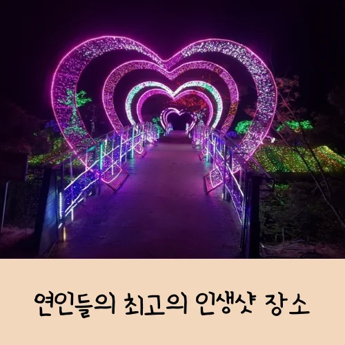 태안 빛축제 네이처월드