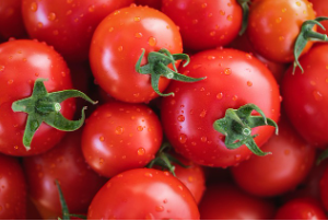 수능 도시락 메뉴