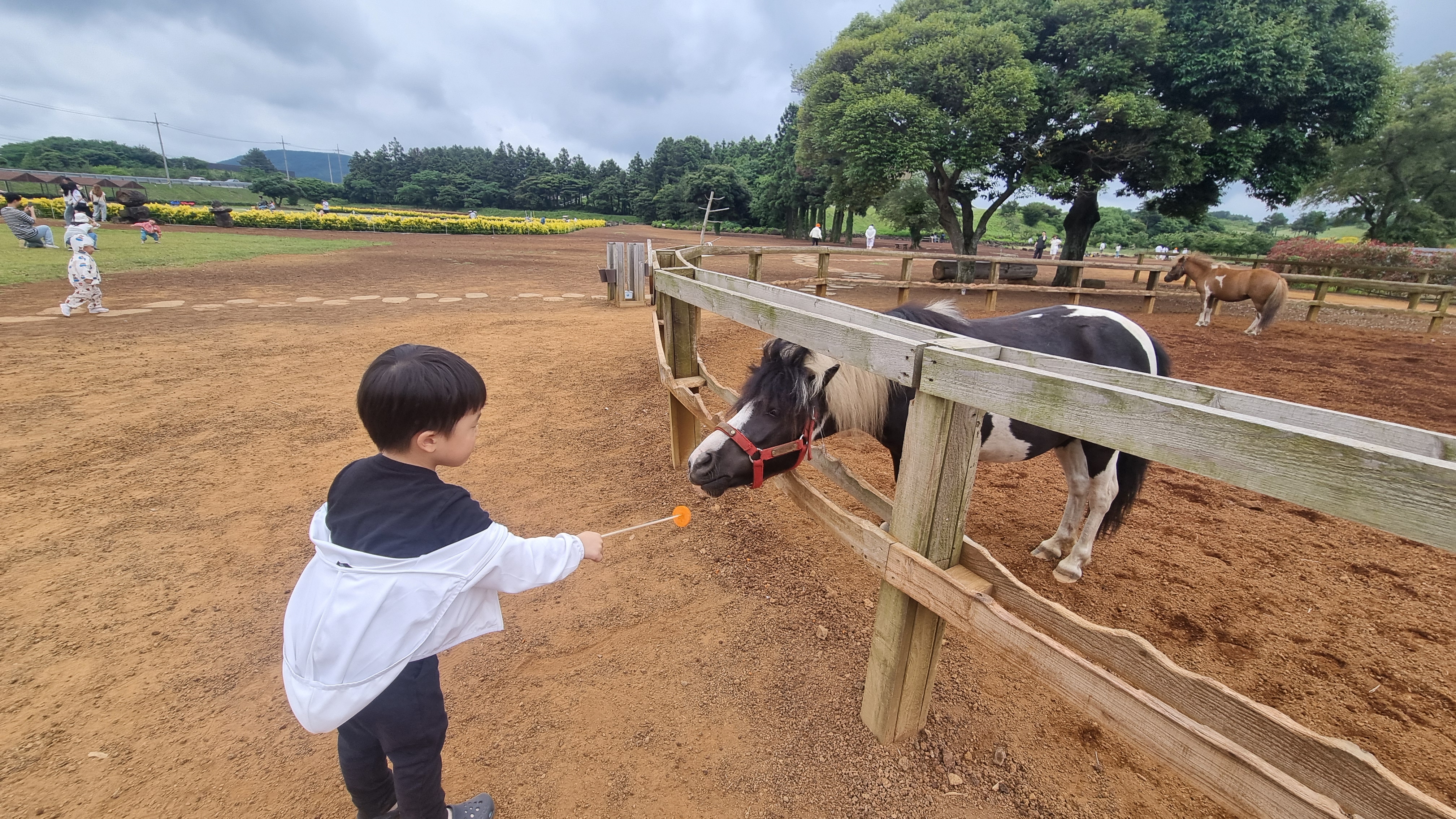 제주 목장카페 밭디