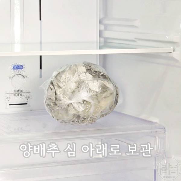 양상추 보관법 밀가루 양상추보관기간