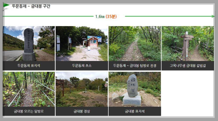 태백산 등산코스 금대봉 코스